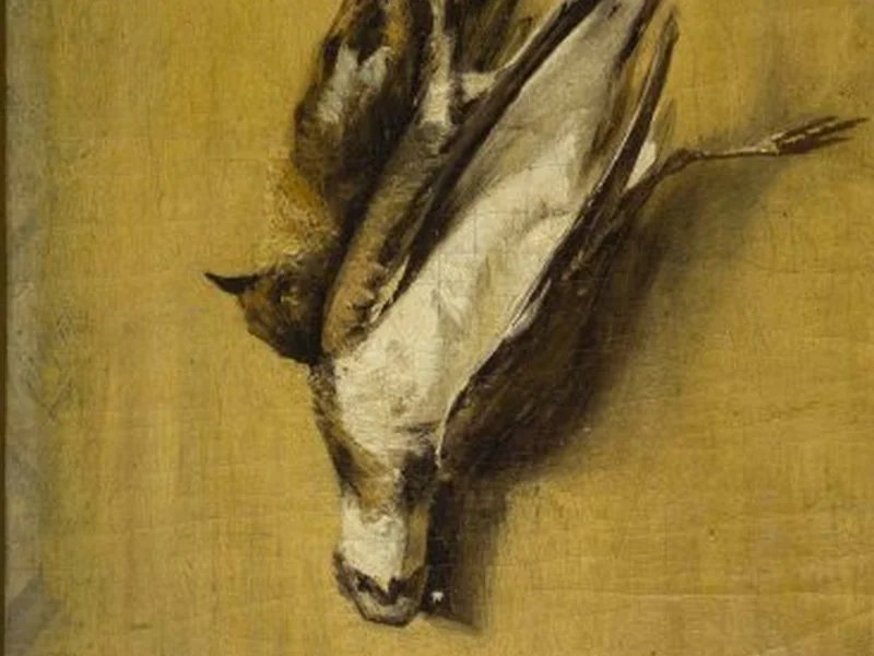1837-Hélène Antigna Pettit - Uccello morto (circa 1870)